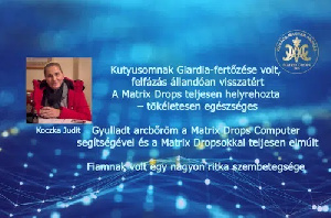 Kutyusomnak Giardia-fertőzése volt – A Matrix Drops teljesen helyrehozta – tökéletesen egészséges